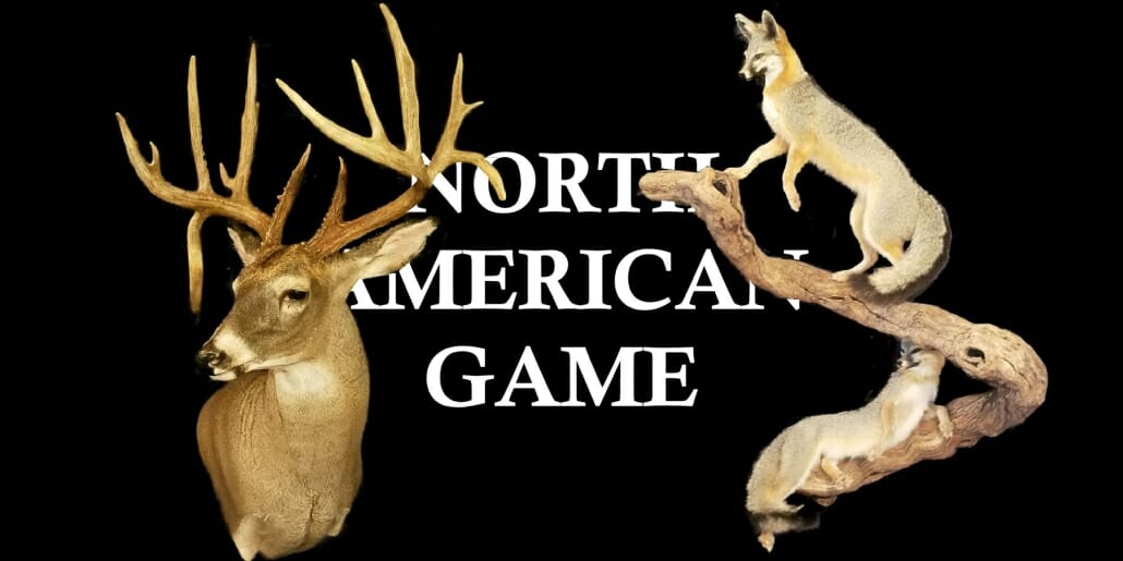 Texas Taxidermy Prices | North American Game Taxidermy Prices