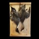 Mottled Duck Mounts, Drake & Hen Standing, Flying, Dead Mounts
